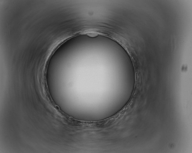 X0000100490289200806201659