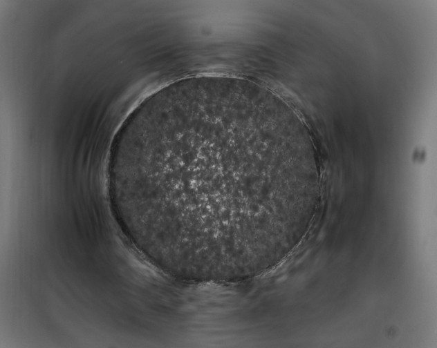 X0000100490290200806201659