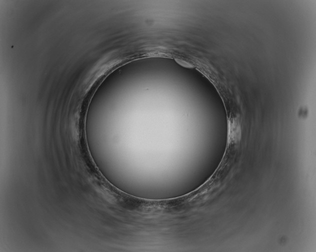 X0000100490291200806201659