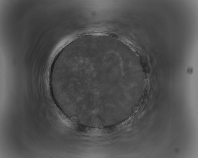 X0000100490293200806201659