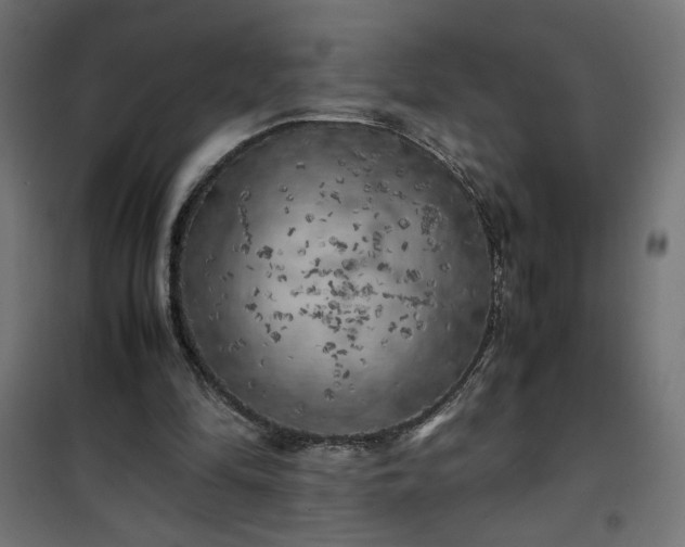 X0000100490294200806201659