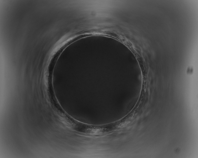 X0000100490295200806201659