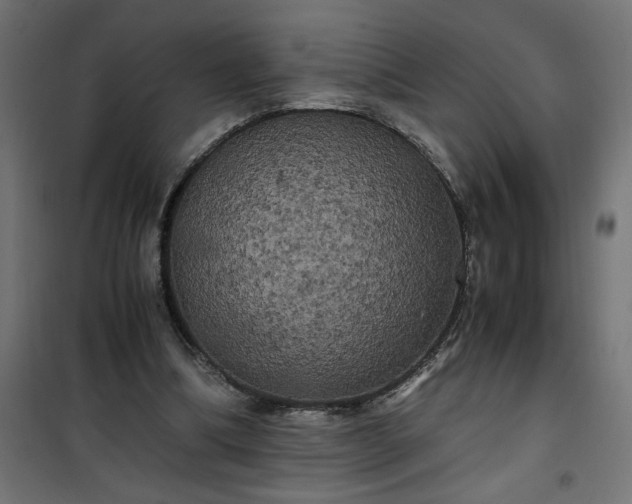 X0000100490298200806201659