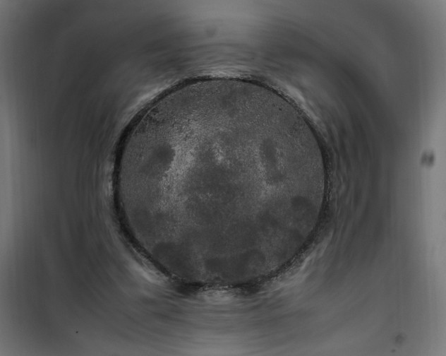 X0000100490299200806201659