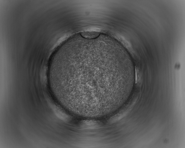 X0000100490300200806201659