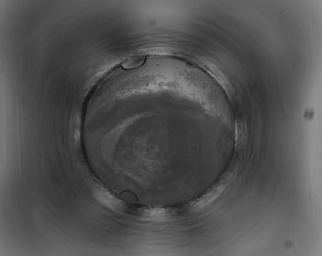 X0000100490301200806201659