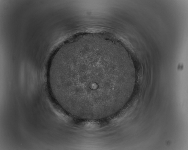 X0000100490303200806201659