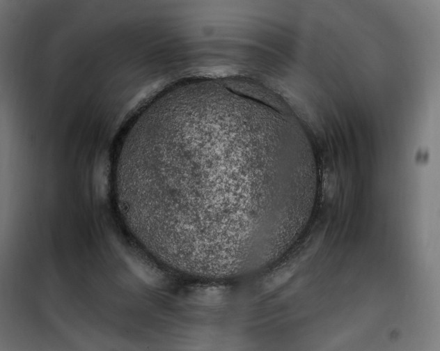 X0000100490304200806201659