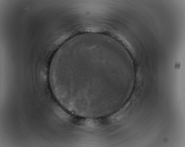 X0000100490305200806201659