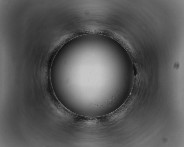 X0000100490306200806201659