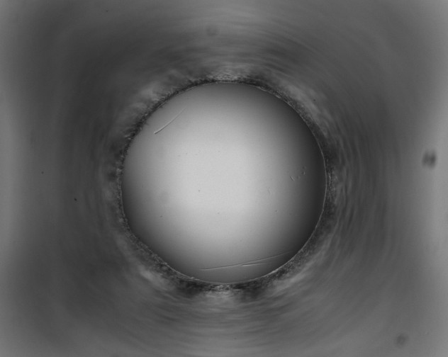 X0000100490307200806201659