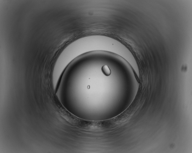 X0000100490308200806201659