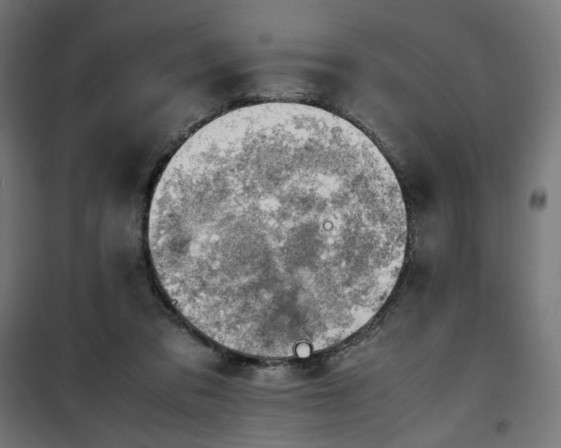 X0000100490309200806201659