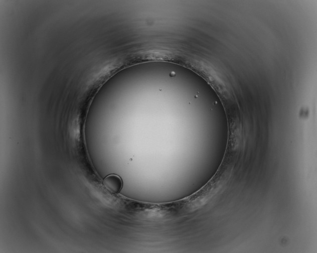 X0000100490310200806201659