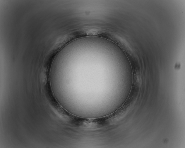 X0000100490311200806201659