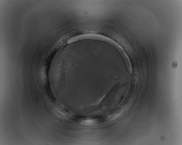 X0000100490312200806201659