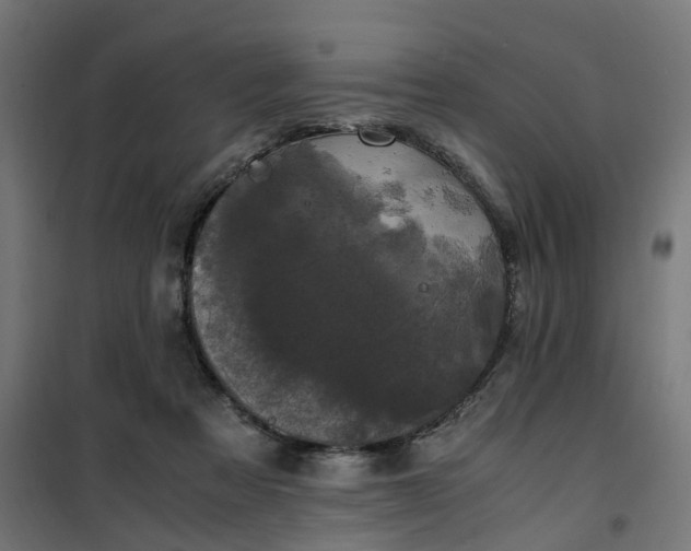 X0000100490313200806201659