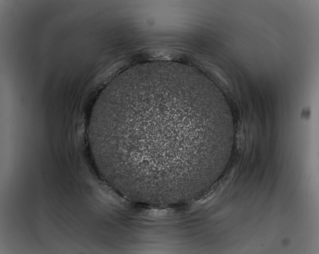 X0000100490314200806201659