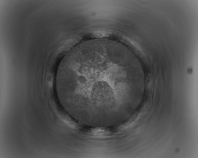 X0000100490315200806201659