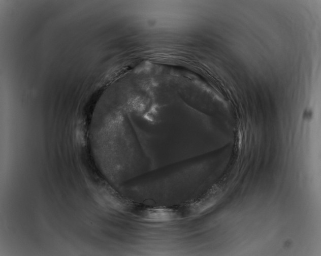 X0000100490316200806201659