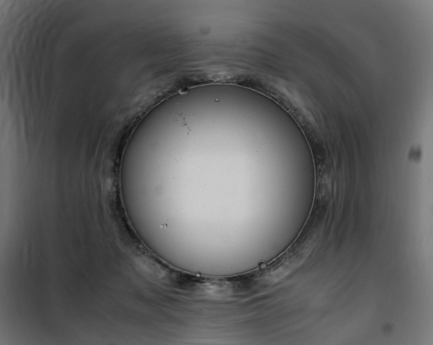 X0000100490317200806201659