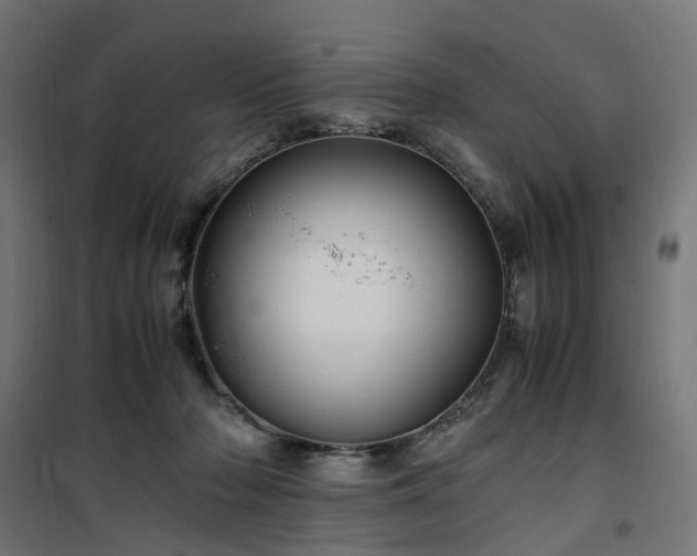 X0000100490318200806201659