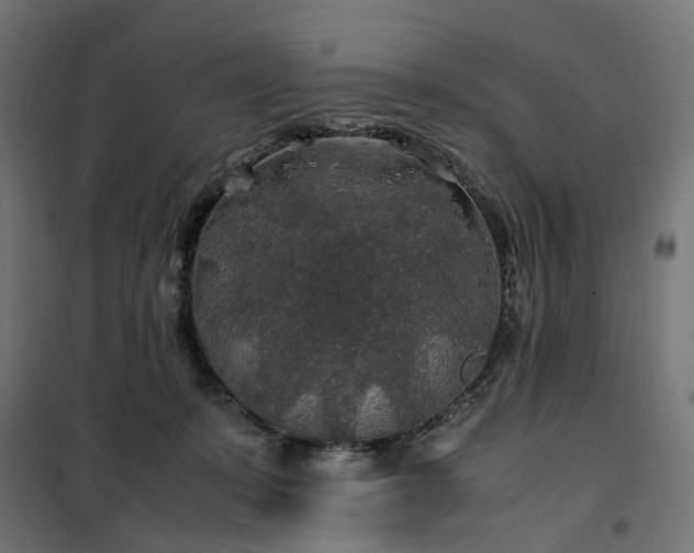 X0000100490319200806201658