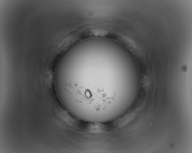 X0000100490321200806201658