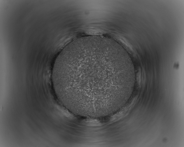 X0000100490322200806201658