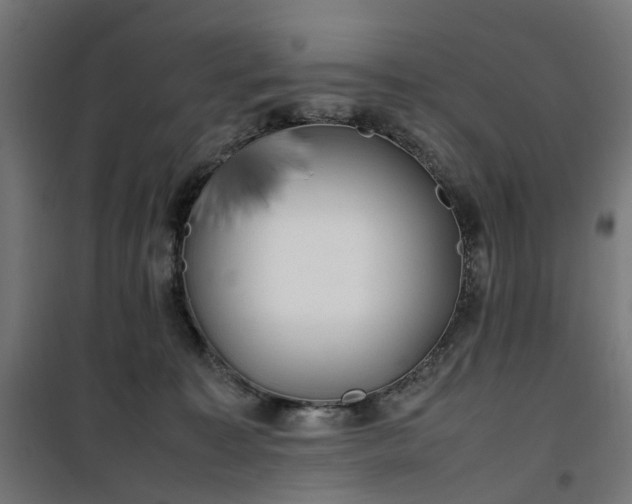 X0000100490323200806201658