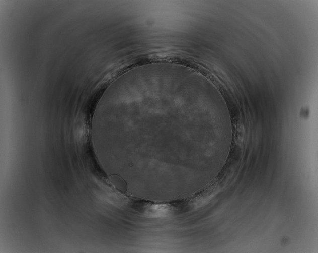 X0000100490324200806201658