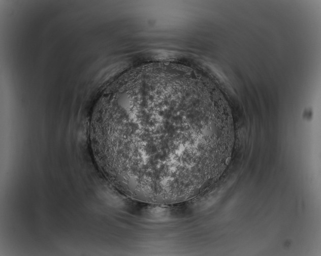 X0000100490325200806201658