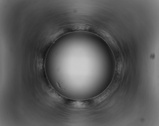 X0000100490326200806201658