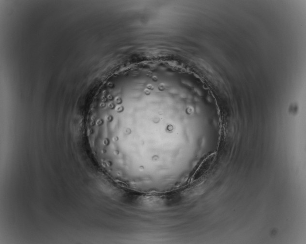 X0000100490327200806201658