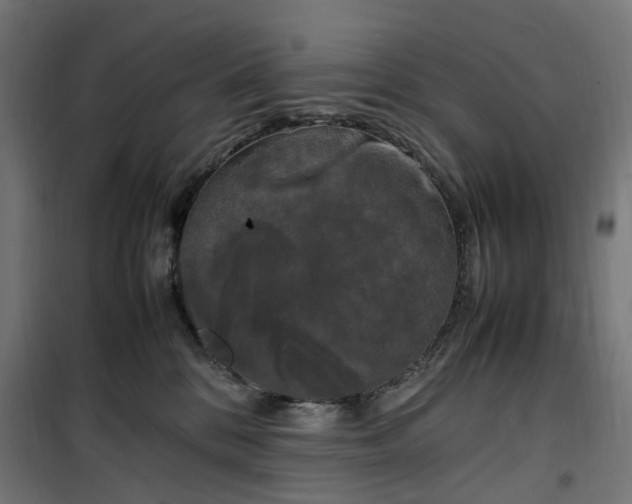 X0000100490328200806201658