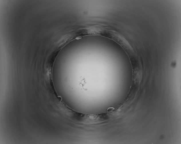 X0000100490329200806201658