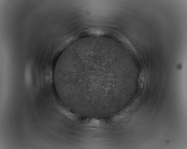 X0000100490330200806201658