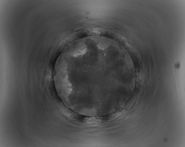 X0000100490331200806201658