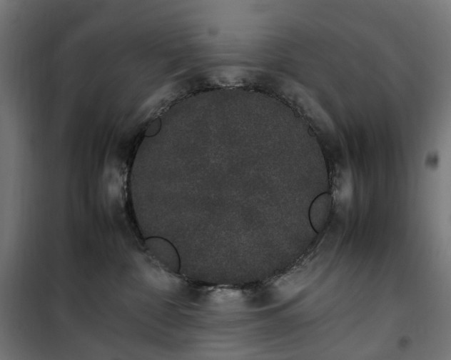 X0000100490332200806201658