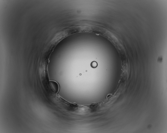 X0000100490333200806201658