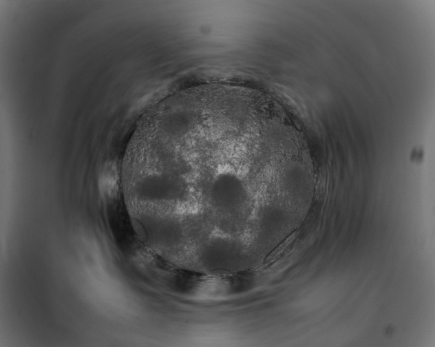 X0000100490335200806201658