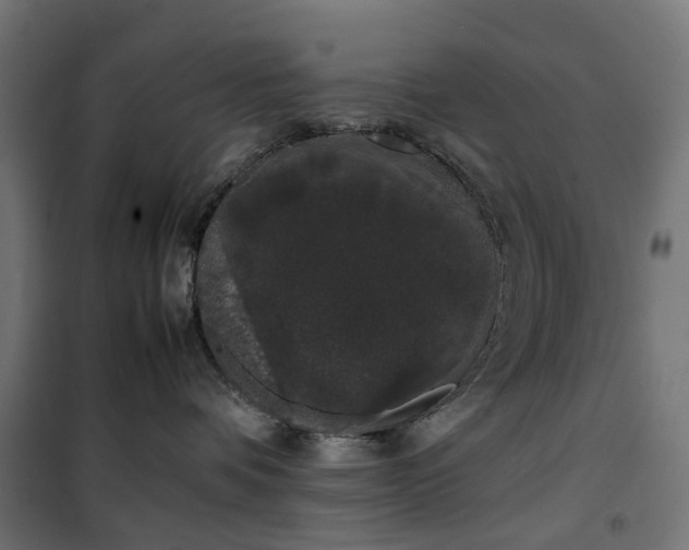 X0000100490336200806201658