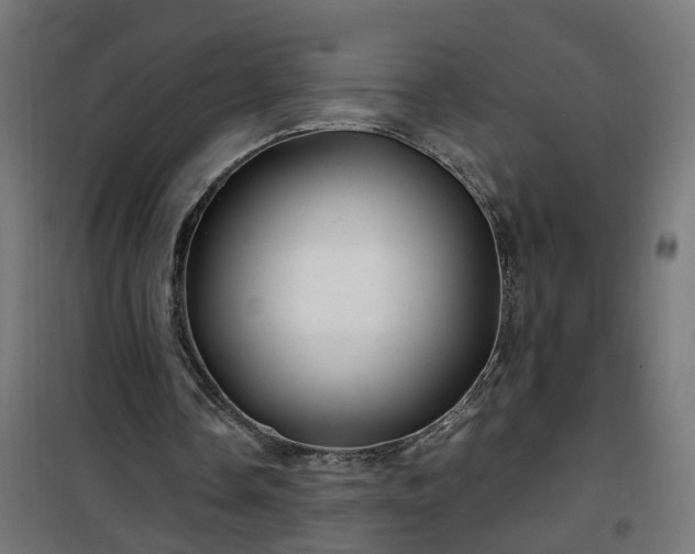 X0000100490338200806201657