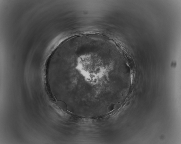 X0000100490339200806201657