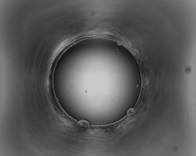 X0000100490340200806201657