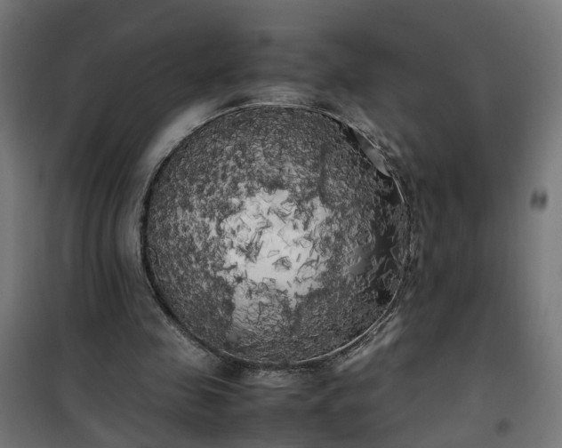 X0000100490341200806201657