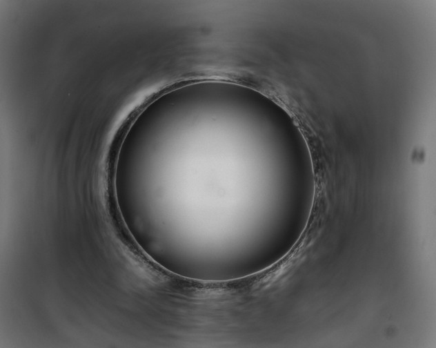 X0000100490342200806201657