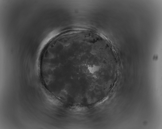 X0000100490343200806201658