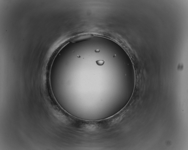 X0000100490344200806201658