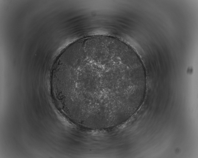 X0000100490345200806201658